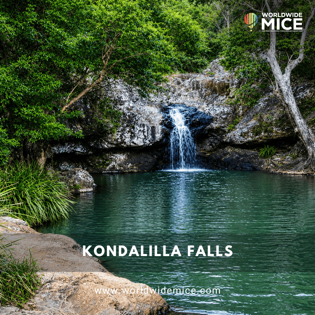 Kondalilla Falls